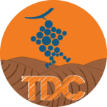 logo_TDC-01